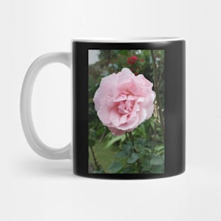 Rose photo Mug